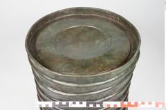 Foto von Bronzerippenciste (NHMW-PRAE-024511)